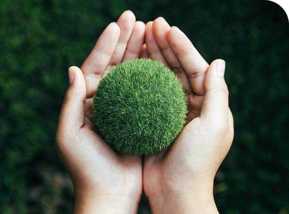 Yangzhou Leebo Environmental Protection Material Co., Ltd.
